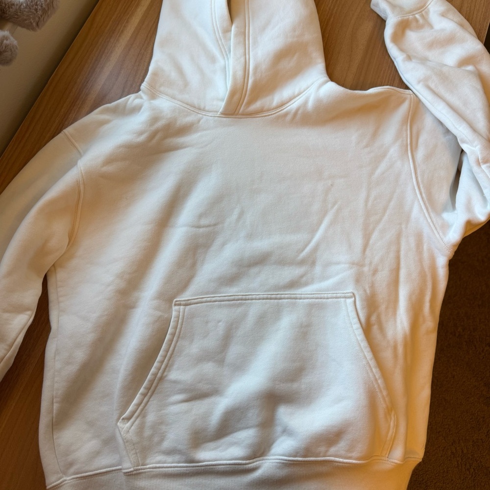 Aritzia Cozy Sweatfleece Perfect Hoodie